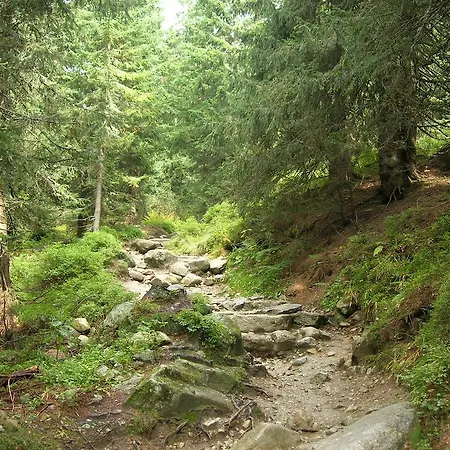 Aqua Tatry 아파트 *